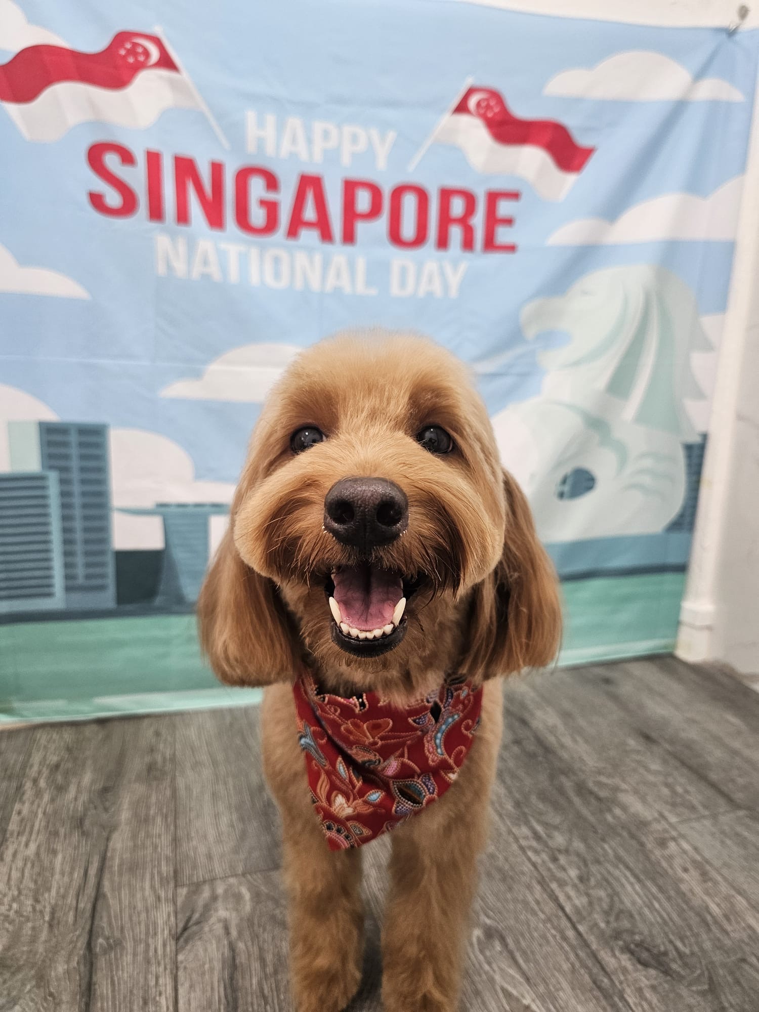 Dog with Singapore National Day backdrop